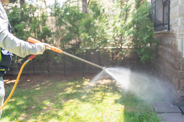 Best Wasp Removal Services  in Oak Hills, OR